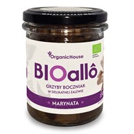 Grzyby boczniak w delikatnej marynacie BIOALLO 180 g - OrganicHouse