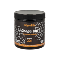 Chaga BIO 100 g - MycoLife
