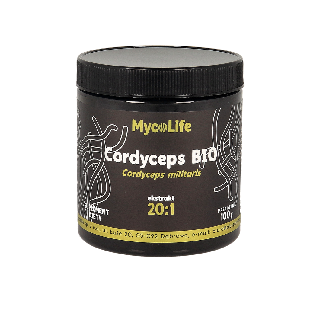 Cordyceps BIO 100 g - MycoLife